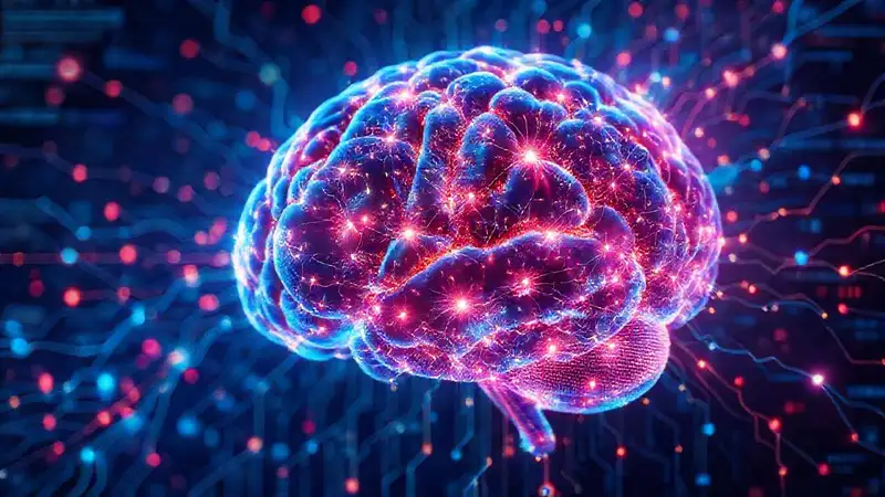 El cerebro artificial visualiza datos complejos